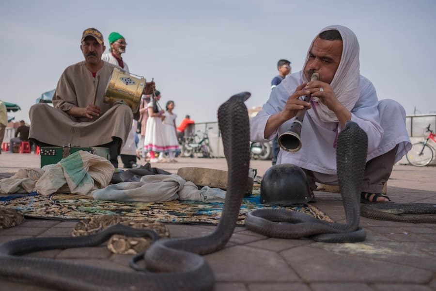 Snake charmers in Jemaa el Fna square