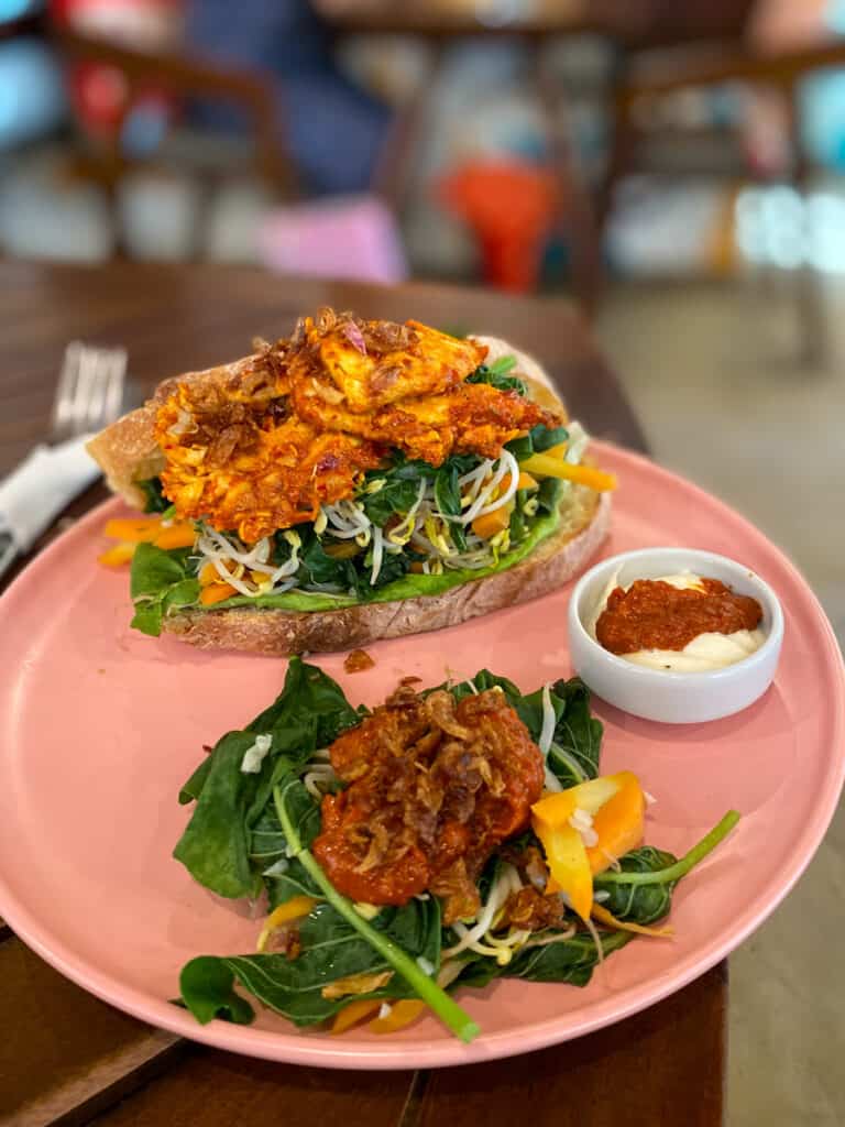 An open faced sandwich on a pink plate.